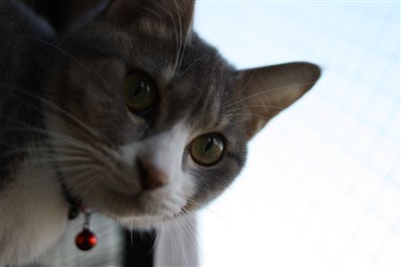 shisya0115012.jpg