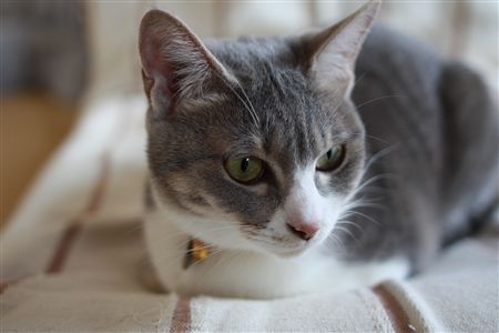 shisya0519001.jpg