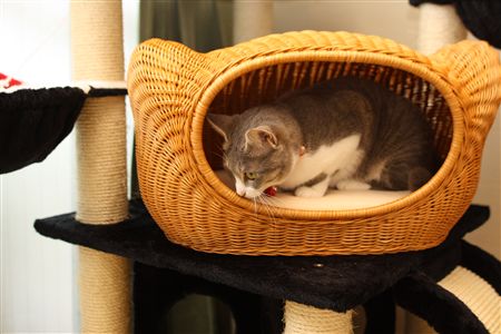 shisya0731006.jpg