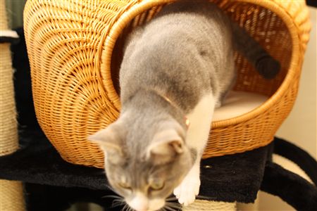 shisya0731008.jpg