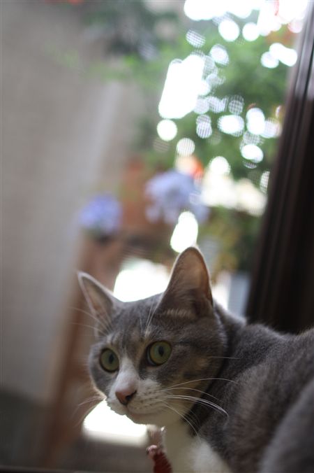 shisya0731010.jpg