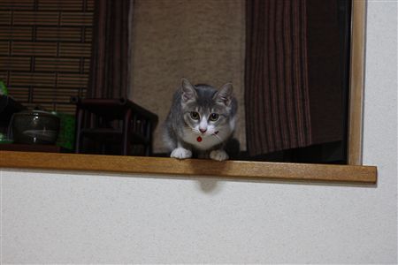 shisya093001.jpg